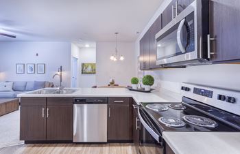 Stainless appliance package (energy efficient)